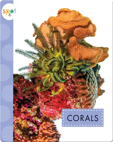 Ocean Animals: Corals book