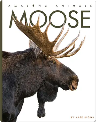 Amazing Animals: Moose book