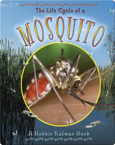 The Life Cycle of a Mosquito book