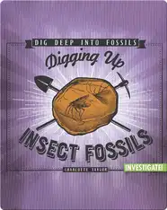 Digging Up Insect Fossils