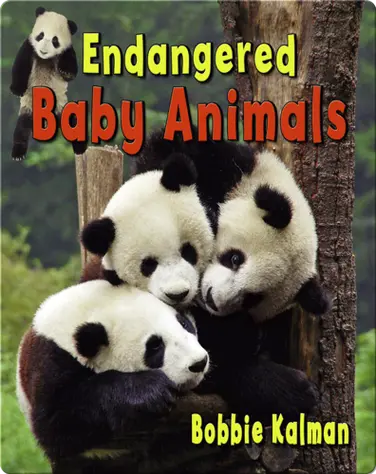 Endangered Baby Animals book