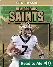 NFL Teams: New Orleans Saints