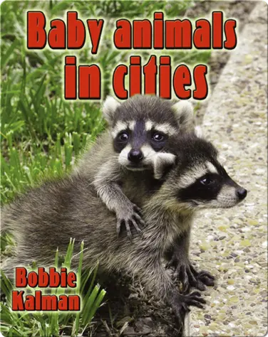 Baby Animals in Cities book
