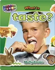 What is Taste?