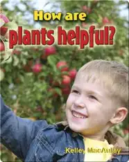 How Are Plants Helpful?