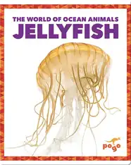 The World of Ocean Animals: Jellyfish