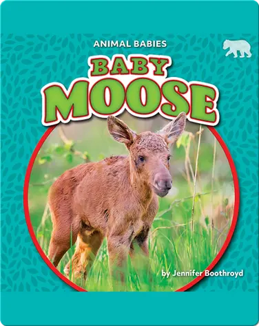 Animal Babies: Baby Moose book