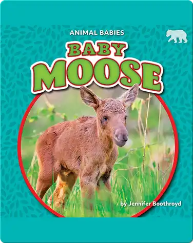 Animal Babies: Baby Moose book