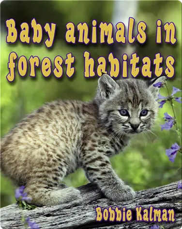 Baby Animals in Forest Habitats book