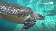 World Oceans Day