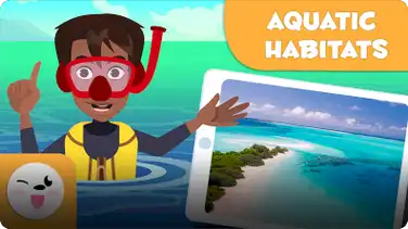 Smile and Learn Habitats: Aquatic Habitats book