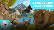 Kolitas Nature: Yellowstone National Park