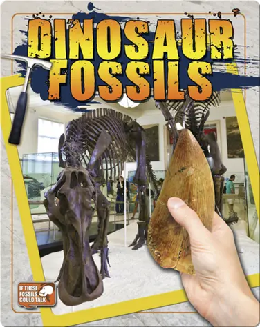Dinosaur Fossils book