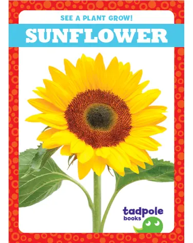 See a Plant Grow!: Sunflower book
