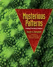 Mysterious Patterns