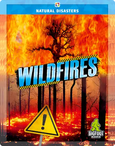 Wildfires book