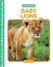 Baby Lions