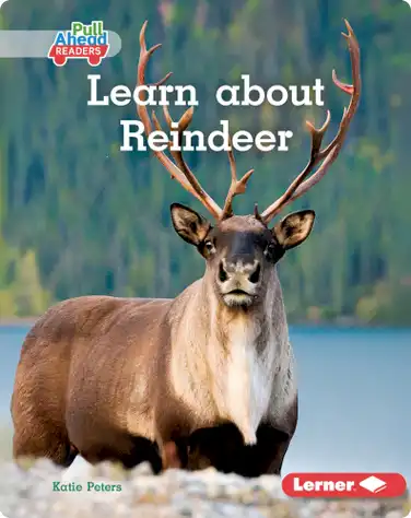 Learn About Reindeer book