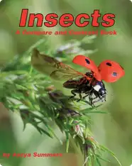 Insects: A Compare and Contrast Book