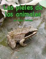 Las pieles de los animales