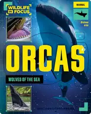 Orcas: Wolves of the Sea