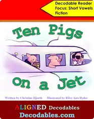 Ten Pigs on a Jet