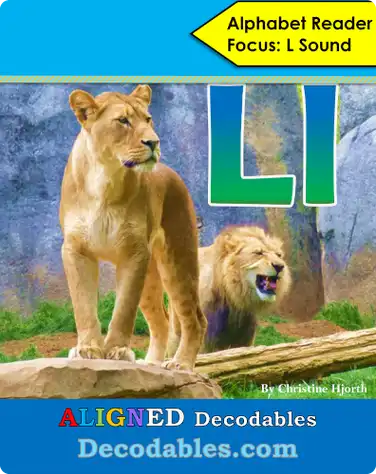 Ll Book book