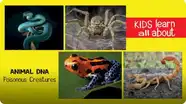 Animal DNA - Poisonous Creatures