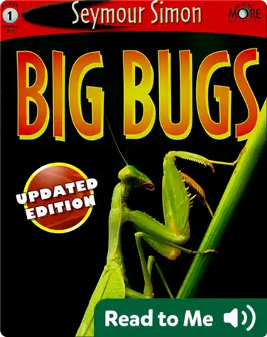 Big Bugs book