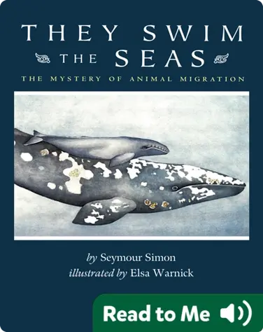 They Swim The Seas: The Mystery of Animal Migration book