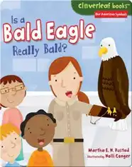 Is a Bald Eagle Really Bald?