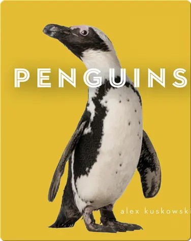 Zoo Animals: Penguins book