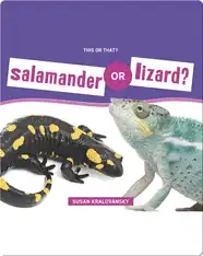 Salamander or Lizard?
