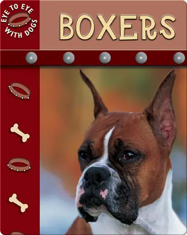 Eye To Eye With Dogs: Boxers book