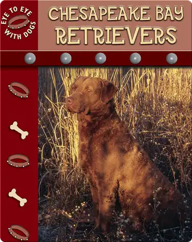 Eye To Eye With Dogs: Chesapeake Bay Retrievers book