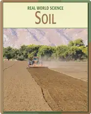 Real World Science: Soil