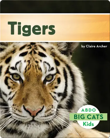 Big Cats: Tigers book