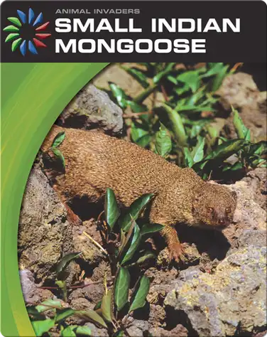 Animal Invaders: Small Indian Mongoose book