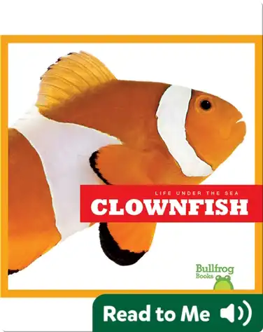 Life Under The Sea: Clownfish book