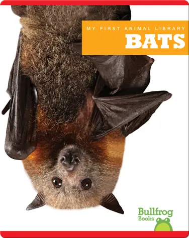 My First Animal Library: Bats book