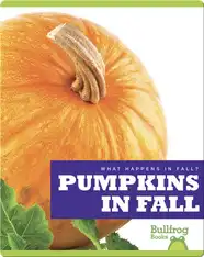 What Happens In Fall? Pumpkins In Fall