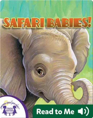 Safari Babies! book