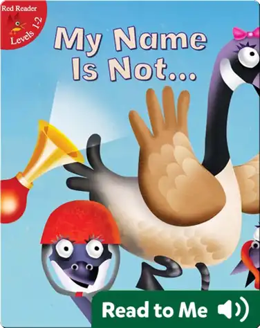 My Name Is Not... book