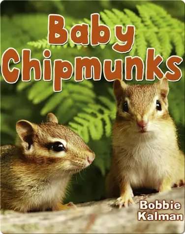 Baby Chipmunks book