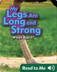My Legs Are Long and Strong