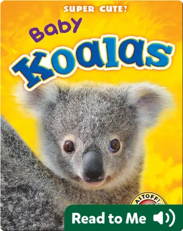 Super Cute! Baby Koalas book