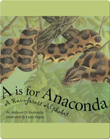 A is For Anaconda: A Rainforest Alphabet book