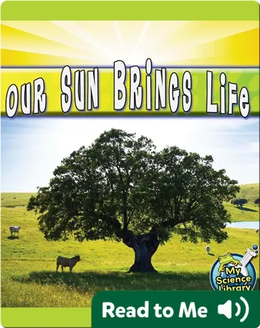 Our Sun Brings Life book
