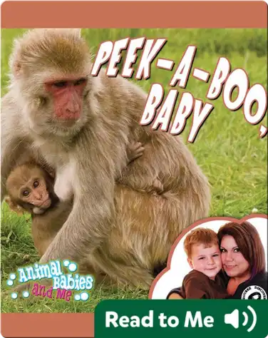 Peek-A-Boo, Baby book