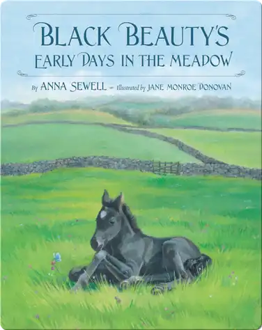 Black Beauty's Early Days in the Meadow book